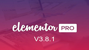 Elementor pro V3.8.1[Aa-0012]