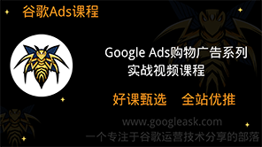 谷歌广告优化师部落英子Google Ads购物广告系列（价值：2900）【Ab-0019】