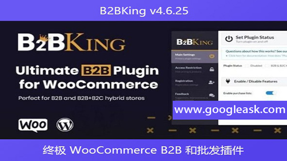 B2BKing v4.6.25 – 终极 WooCommerce B2B 和批发插件【Bb-0005】