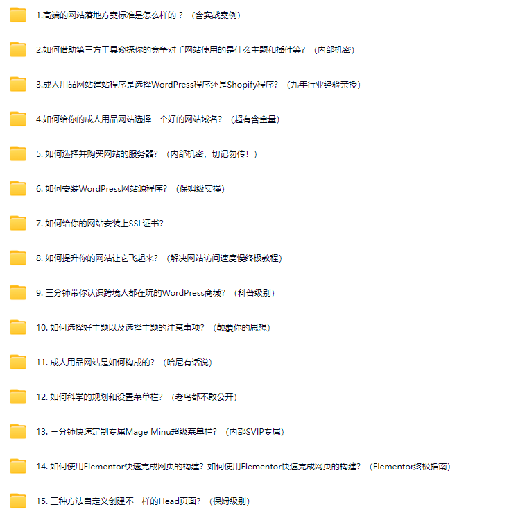 图片[1]-我是如何搭建起一个高端的成人用品外贸网站商城的？（九年跨境大佬亲授.原创）免费提供保姆式辅导！-顾问网