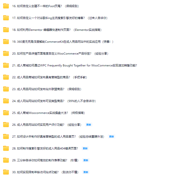 图片[2]-我是如何搭建起一个高端的成人用品外贸网站商城的？（九年跨境大佬亲授.原创）免费提供保姆式辅导！-顾问网