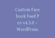 Custom Facebook Feed Pro v4.3.0 – WordPress 自定义插件【Cb-059】-顾问网