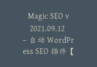 Magic SEO v2021.09.12 – 自动 WordPress SEO 插件【Cb-051】-顾问网