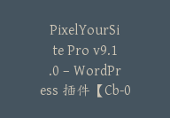 PixelYourSite Pro v9.1.0 – WordPress 插件【Cb-041】-顾问网