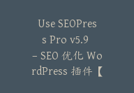 Use SEOPress Pro v5.9 – SEO 优化 WordPress 插件【Cb-070】-顾问网