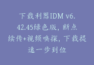 下载利器IDM v6.42.45绿色版，断点续传+视频嗅探，下载提速一步到位-顾问网
